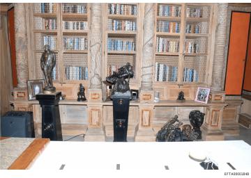 Top PDF for Elizabeth Freeman