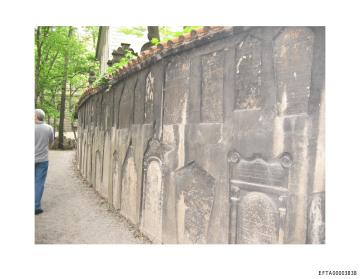 Preview for EFTA00003838